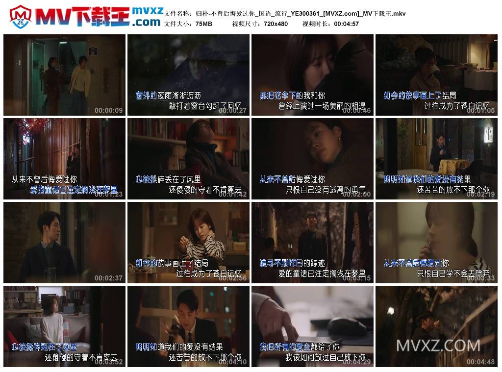 归朴-不曾后悔爱过你_国语_流行_YE300361